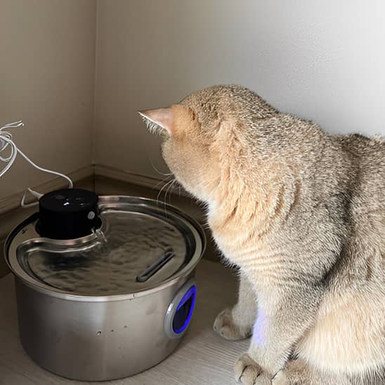 Fontaine-a-eau-chat-chargeur