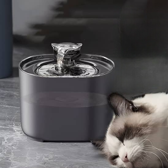 Fontaine-a-eau-chat-silencieux-