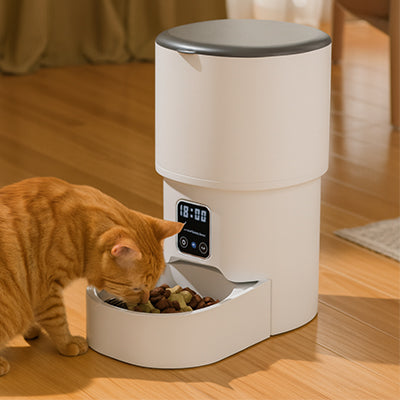 Meilleur_distributeur_automatique_de_croquettes_pour_chat-chat-roux
