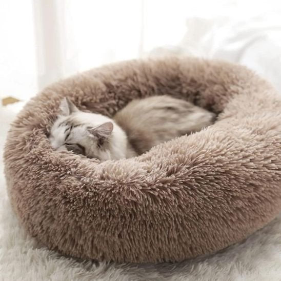 coussin pour chat brun design donuts