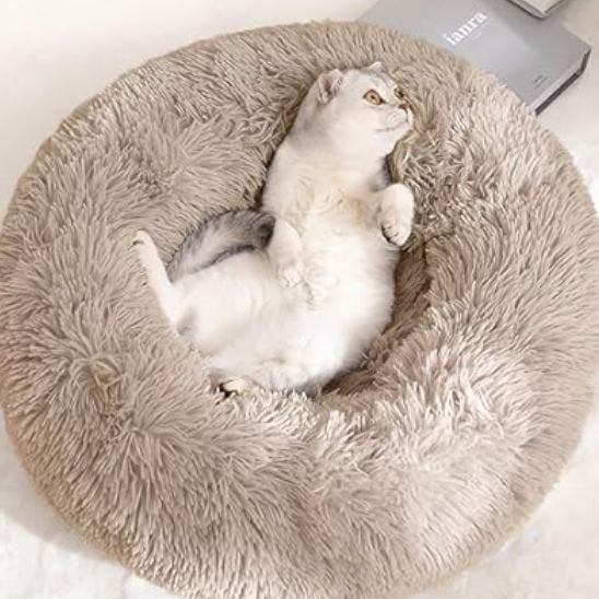 coussin pour chat brun avec un chat dessus blanc