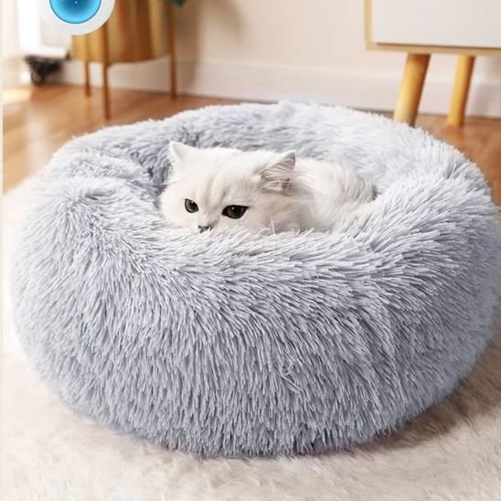 chat blanc sur son coussin pour chat gris