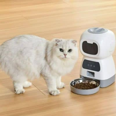 chat blanc devant son distributeur automatique croquettes chat