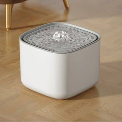 fontaine-a-eau-chat-blanche