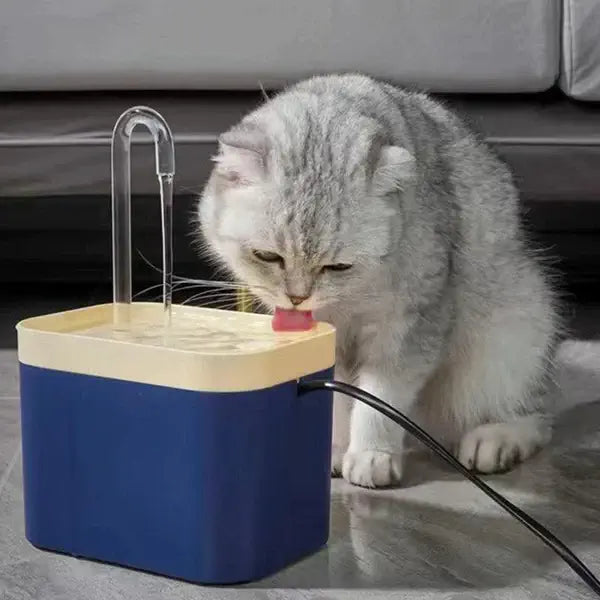 Fontaine-a-eau-chat-bleu