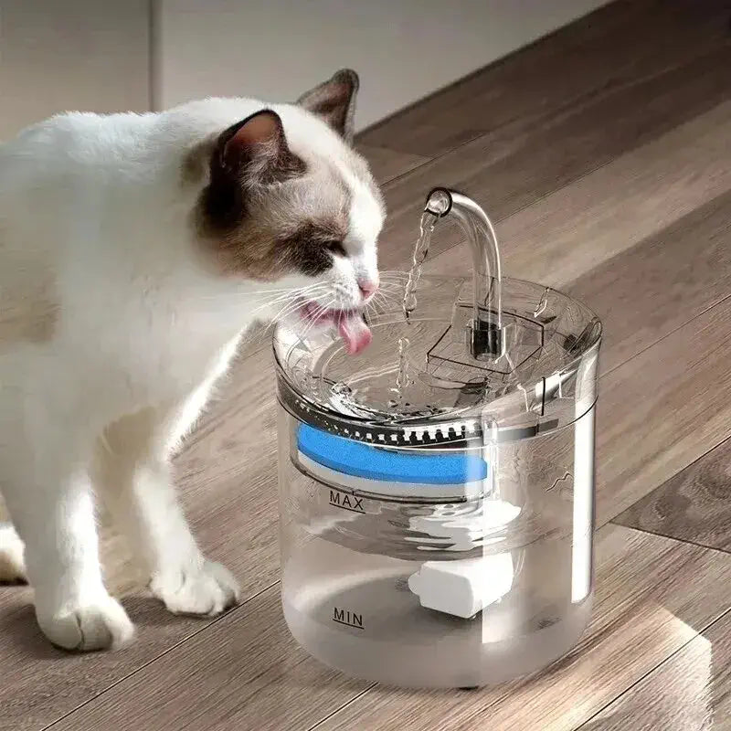 fontaine-a-eau-chat-chat-blanc-boit