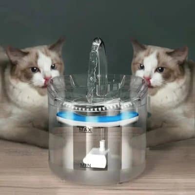 fontaine-a-eau-chat-pompe-filtre