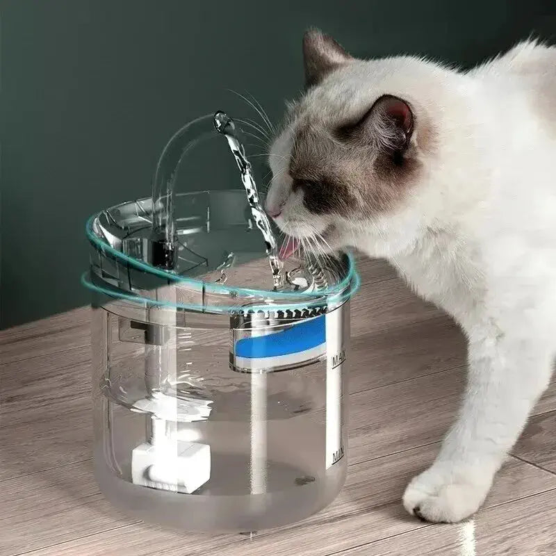 fontaine-a-eau-chat-filtre-chat-blanc