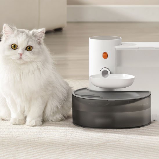 chat blanc assied a cote de sa fontaine a eau chat