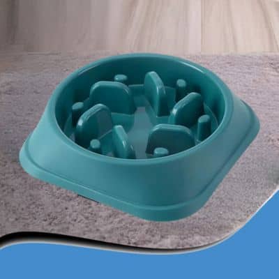 gamelle-anti-glouton-bleu