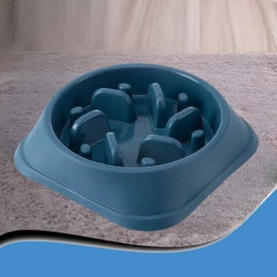 gamelle-anti-glouton-bleu-fonce