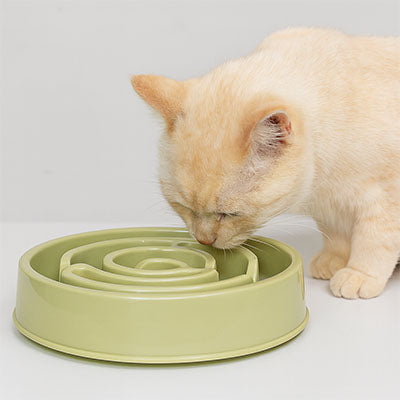 gamelle-anti-glouton-chat-_kaki