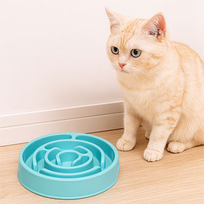 gamelle-anti-glouton-chat-bleu-chat-blanc