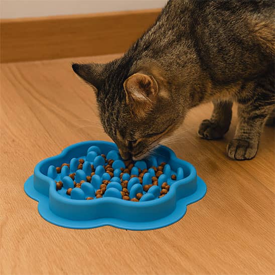 gamelle-anti-glouton-chat-chat-mange