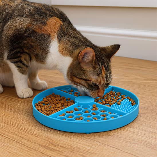gamelle-anti-glouton-chat-bleu-lechage