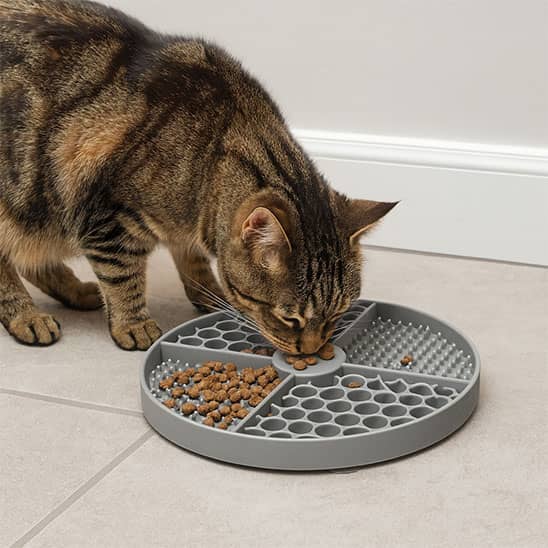 gamelle-anti-glouton-chat-