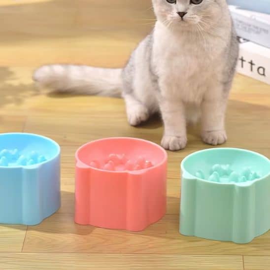 gamelle-anti-glouton-chat-surelevee