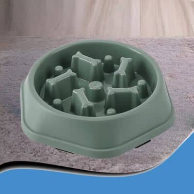 gamelle-anti-glouton-croquettes-gris