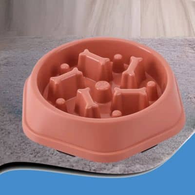 gamelle-anti-glouton-croquettes-rose