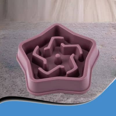 gamelle-anti-glouton-étoile-mauve