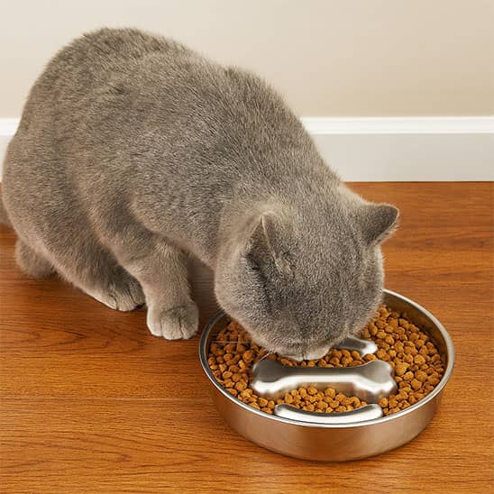 gamelle-anti-glouton-gamelle-anti-glouton-os-chat