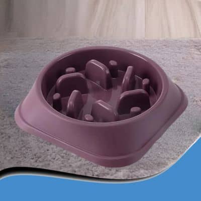 gamelle-anti-glouton-mauve