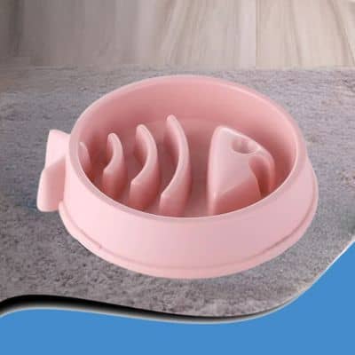 gamelle-anti-glouton-poisson-rose