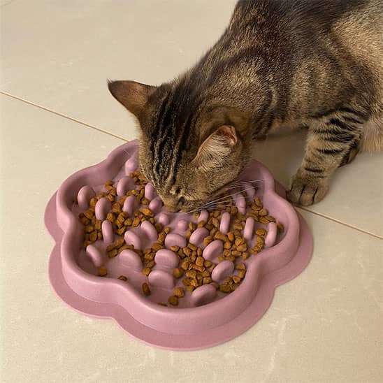 gamelle-anti-glouton-chat-pourpre