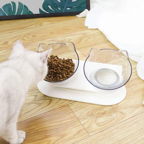 gamelle chat ergonomique double boll transparent