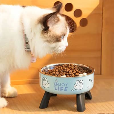 gamelle surelevee chat dessin caarton