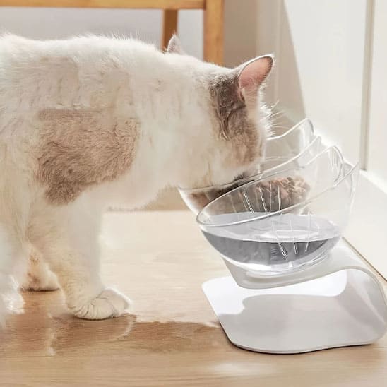 chat mange crouettes gamelle chat double inclinee