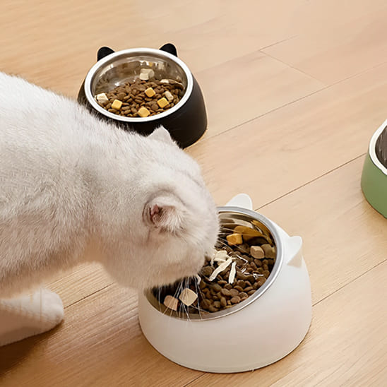 Gamelle pour chat | Chagamâą