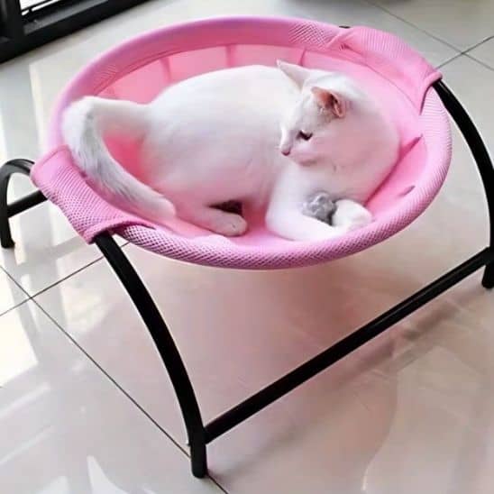 chat blanc insatller dans son hamac pour chat rose