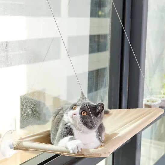 hamac pour chat suspendu sur fenetre