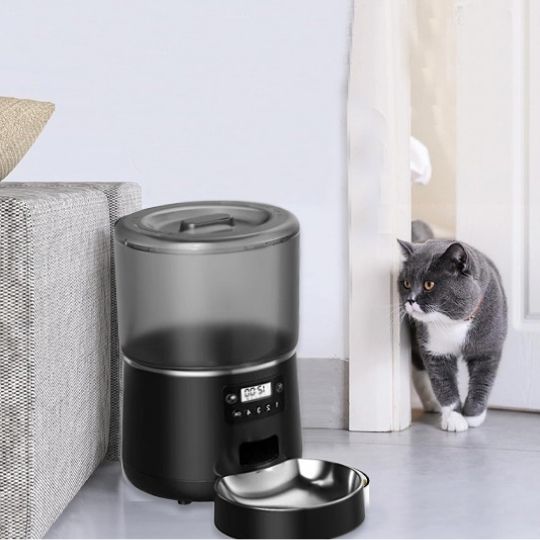 meilleur-distributeur-automatique-croquettes-pour-chat-chat-gris