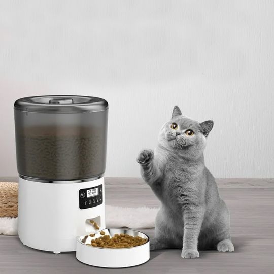 meilleur-distributeur-automatique-croquettes-pour-chat-programmable