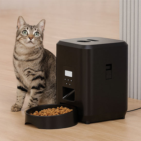 meilleur distributeur automatique croquettes pour chat