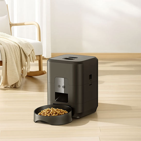 meilleur distributeur automatique croquettes pour chat dans salon