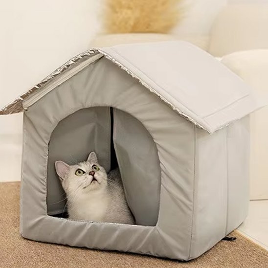 niche chat chaude ideale hiver