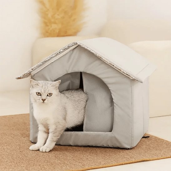 niche chat confort