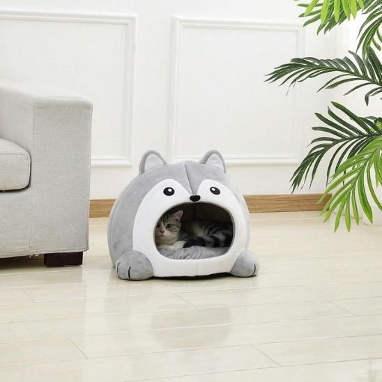 chat dans sa niche pour chat