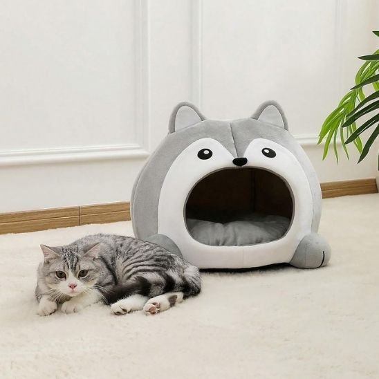chat gris couche devant niche pour chat