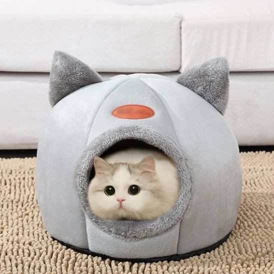 chat dans sa niche pour chat