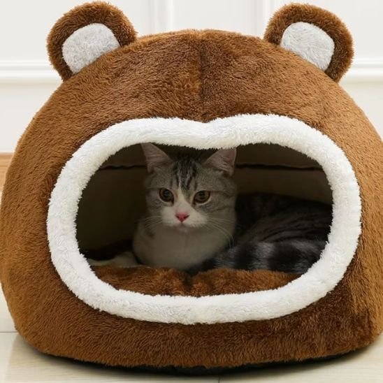 niche pour chat chat gris a l interieur