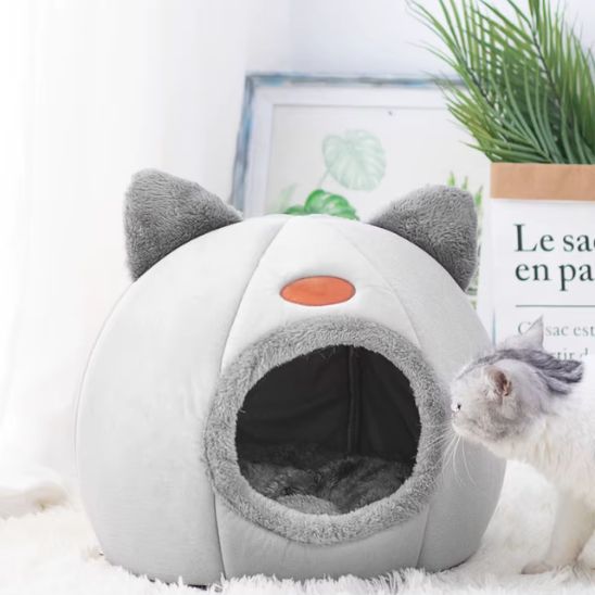 chat entrant dans sa niche pour chat