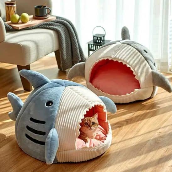 niche pour chat requin couleur bleu et grise