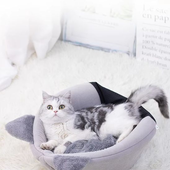 niche pour chat pliable