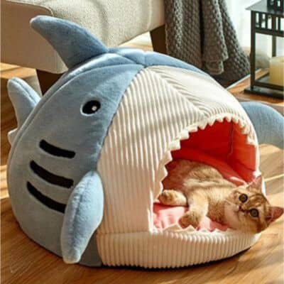 chat dans sa niche pour chat roquin