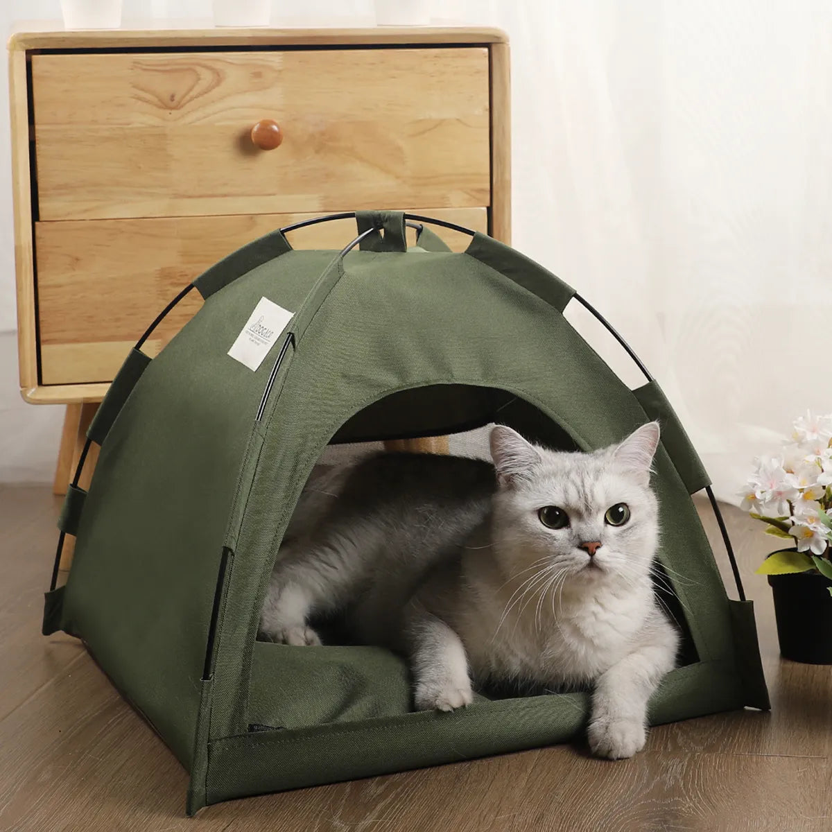 niche-pour-chat-tente