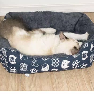 Panier pour Chat | CocoonCoolâą